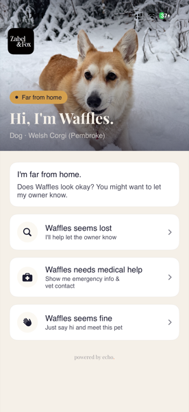 Echo finder screen showing Hi I'm Waffles with options: seems lost, needs medical help, seems fine