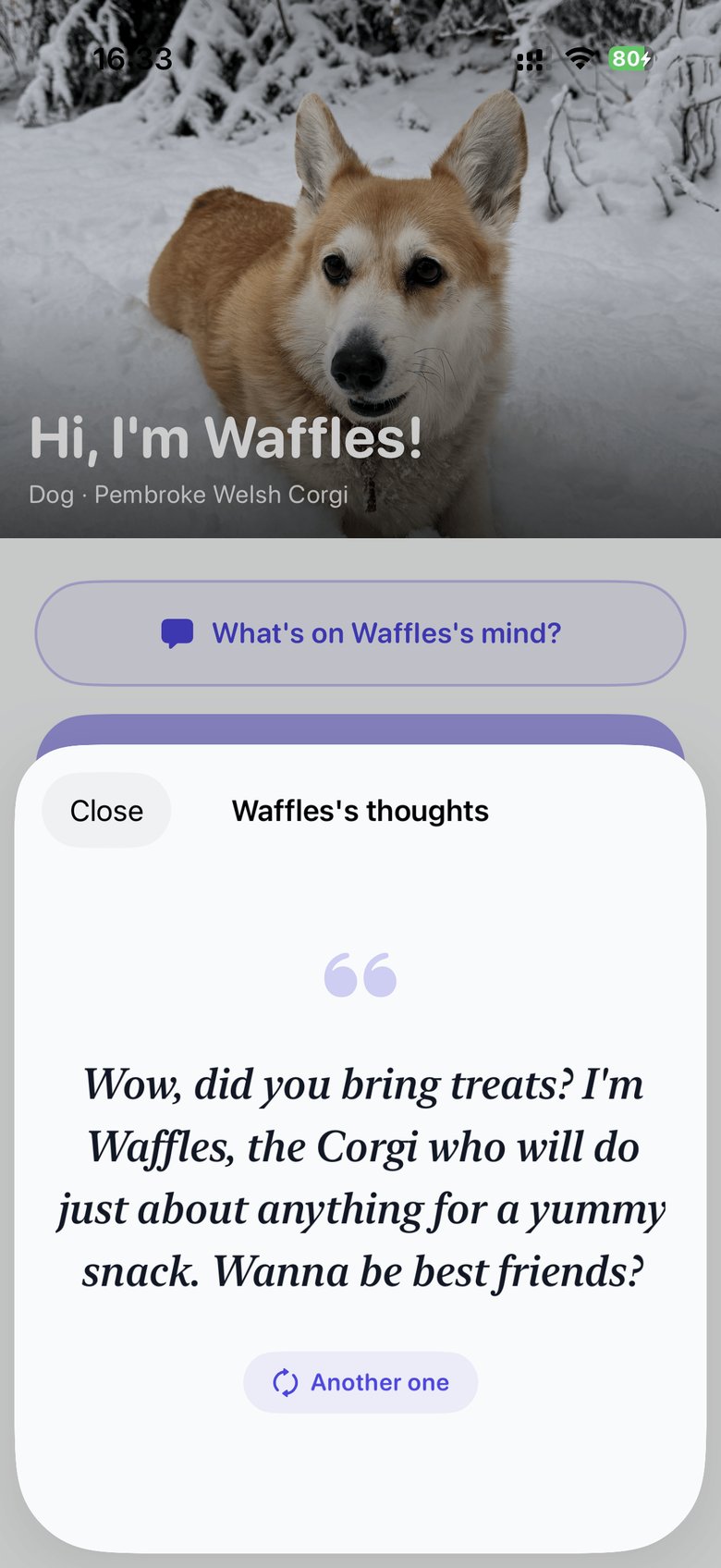 Echo showing Waffles AI-generated thought: Wow did you bring treats