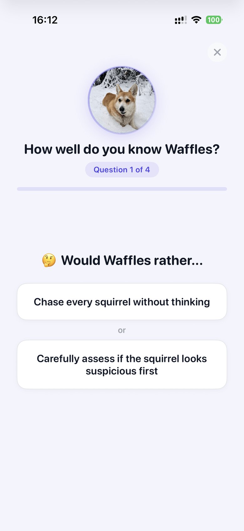 Echo personality quiz asking Would Waffles rather chase every squirrel or assess it first