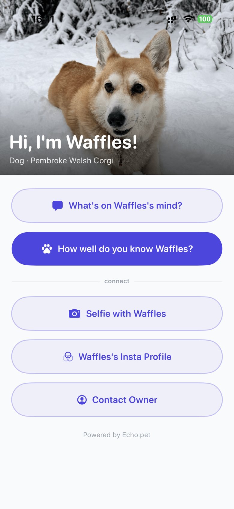 Echo social mode showing Selfie with Waffles and Instagram profile options