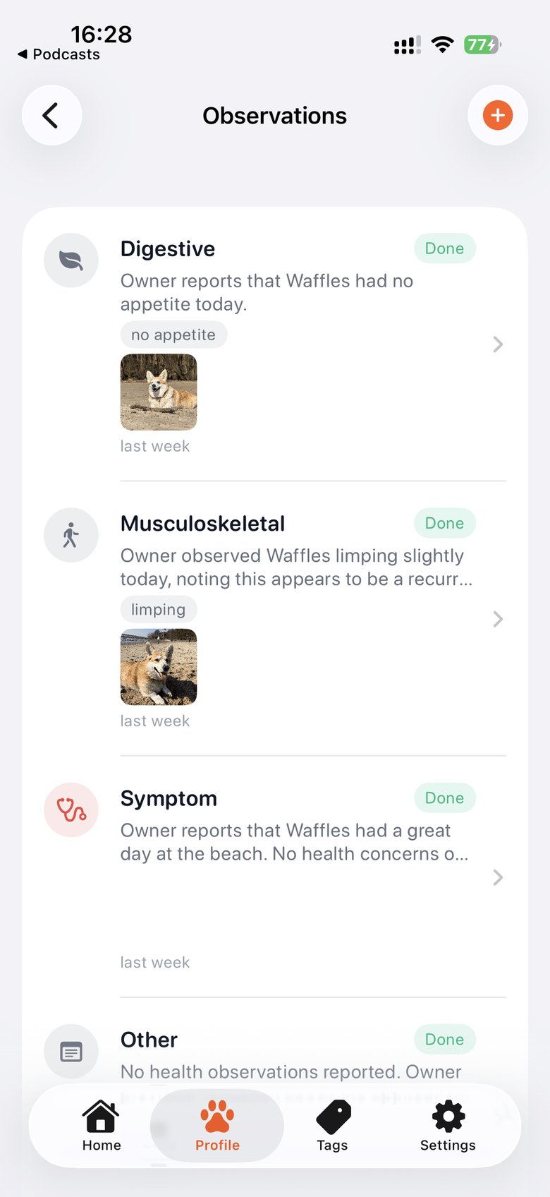 Echo health observations screen showing AI-generated health insights