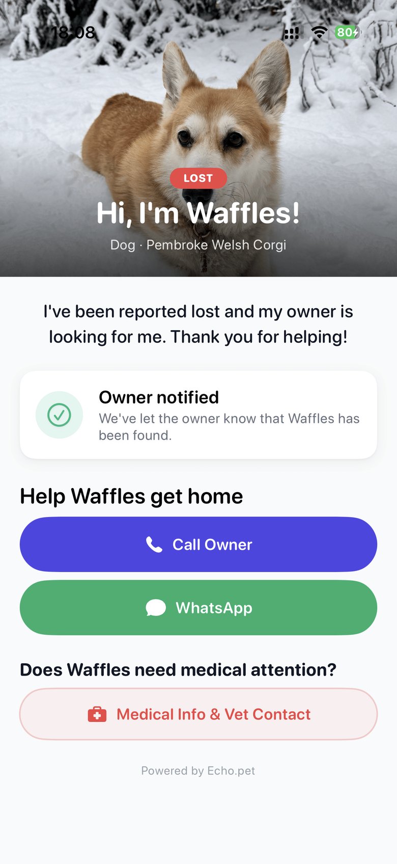 Echo finder screen showing Waffles lost mode with Call Owner and WhatsApp buttons