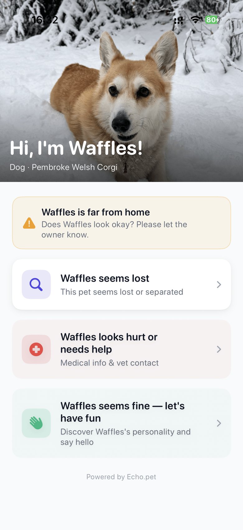 Echo triage screen showing contextual options: Waffles seems lost, hurt, or fine