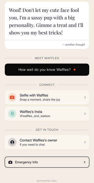 Echo social mode showing Waffles personality bio, quiz, selfie and Instagram options